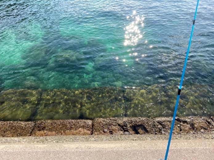 12月の海