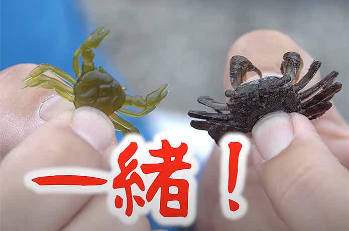 カニとサイズ比較