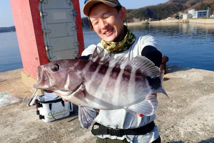 泳がせ釣りマハタ