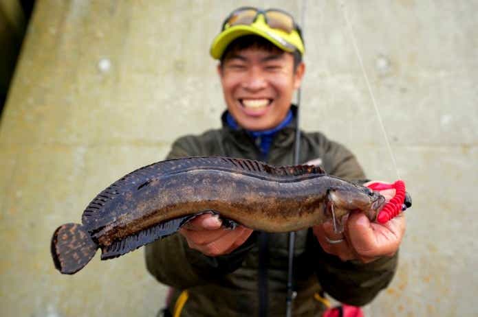 北海道ロックフィッシュゲーム