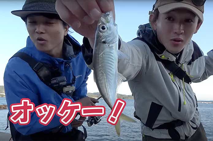 アジングの釣果