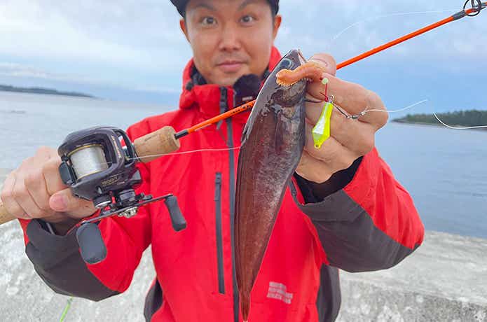穴釣り専科ジカブラSSとドンコ