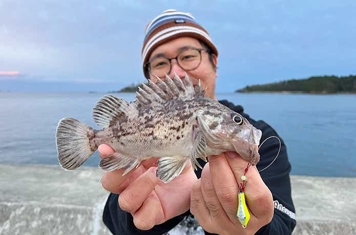 穴釣り専科ジカブラSSとクロソイ