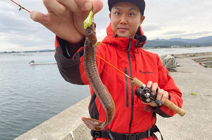 穴釣り専科ジカブラSSとギンポ