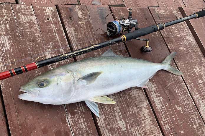 ツインパワーで海上釣堀