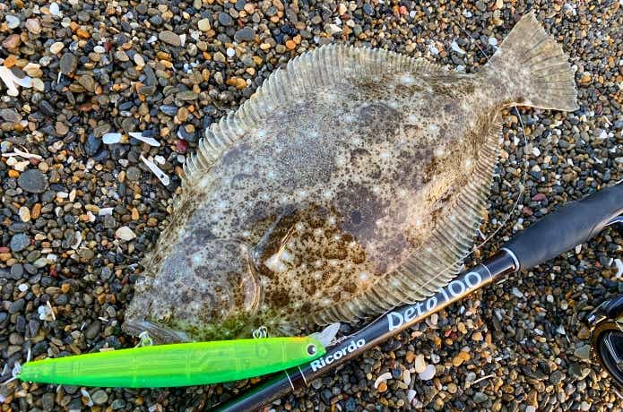 ハイスタンダードの釣果
