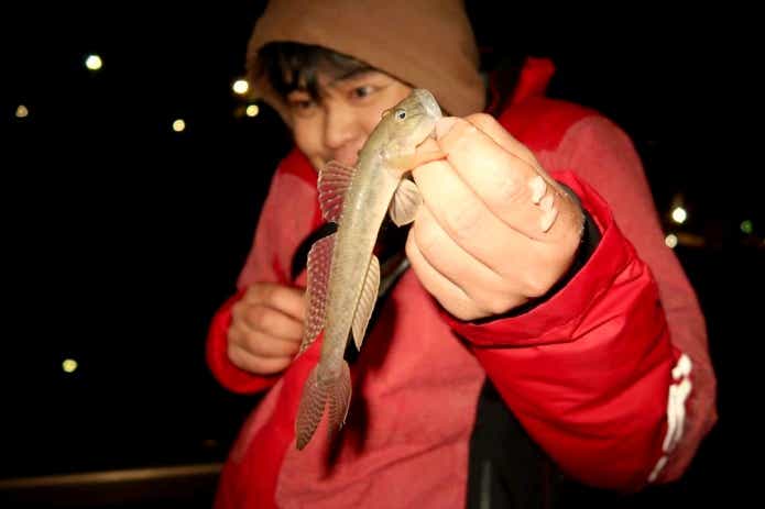 冬でも釣れる魚ハゼ