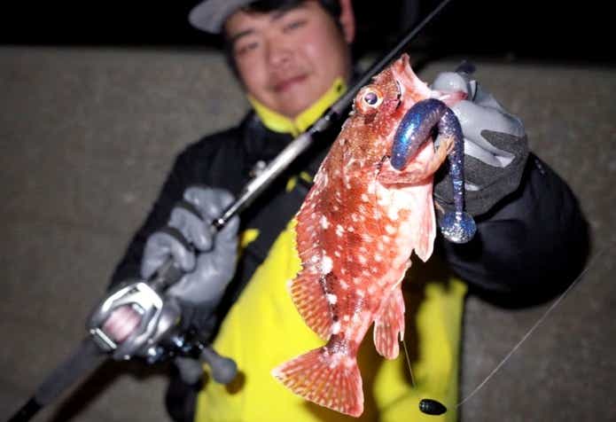 3月カサゴ