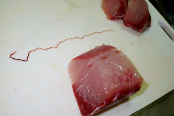 ブリ糸状虫