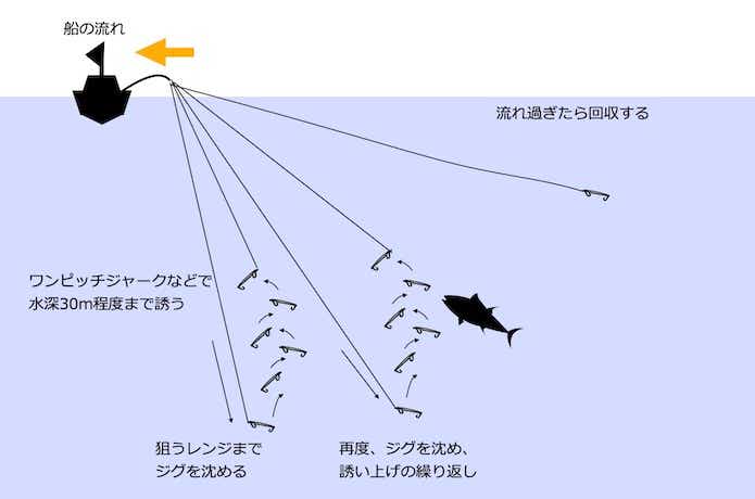 トンジギのアクション