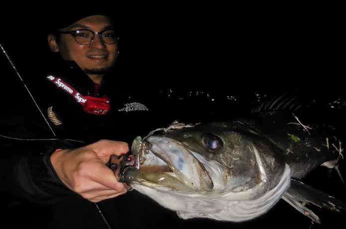 川バチパターンで釣れたシーバス