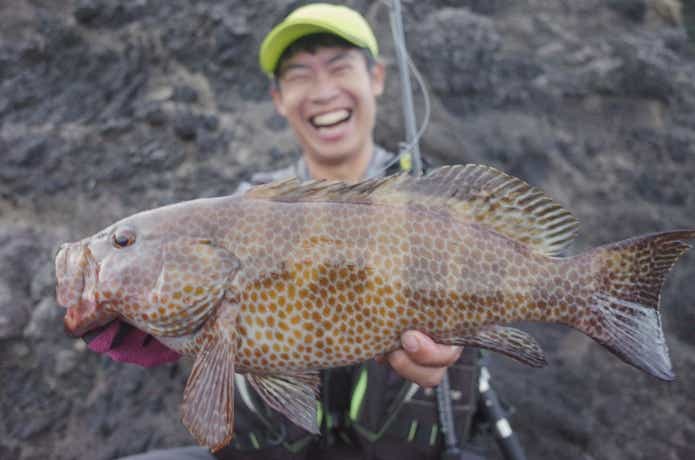カルカッタコンクエストMDにぴったりな対象魚