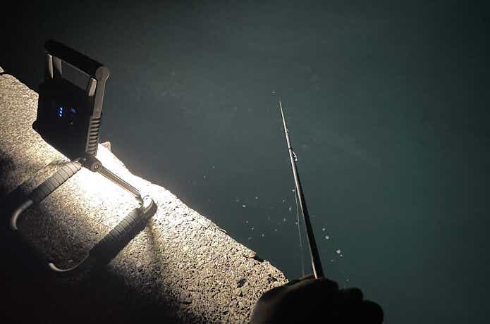 ラグゼ フラッドライト LEFL1500で魚を集めてみる
