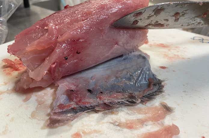 ビンチョウマグロの身