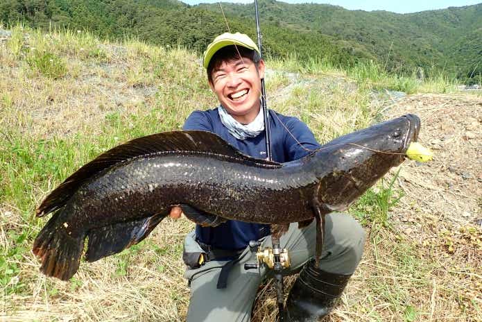 シマノ カルカッタコンクエスト 400 雷魚 狭し