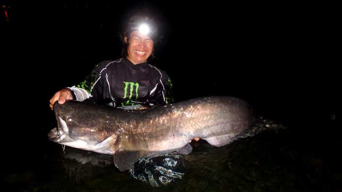 カルカッタコンクエストMDにぴったりな対象魚