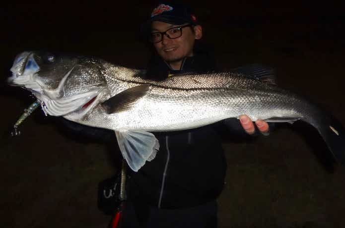 川バチパターンで釣れたシーバス