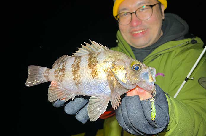 魚子メタル貫きでメバル