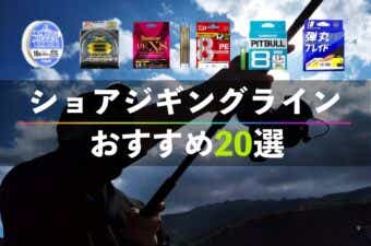 ショアジギングラインおすすめ20選！PEの太さ（号数）やリーダーについて徹底解説