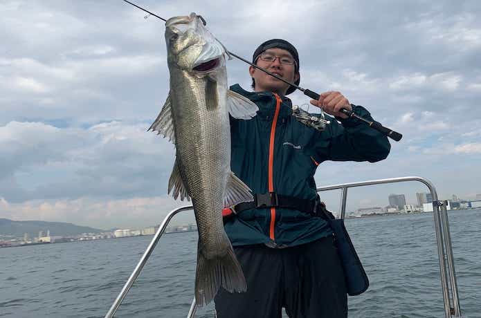 ステラでボートシーバス