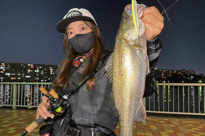 港湾バチパターンで釣れたシーバス