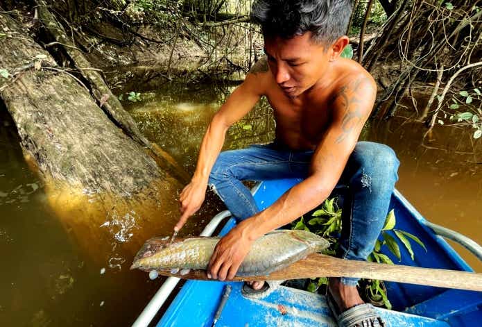 アマゾンで釣った美味い魚