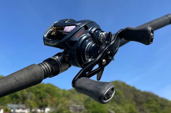 ダイワ(DAIWA) 21 スティーズ A TW HLC 7.1L - labaleinemarseille.com