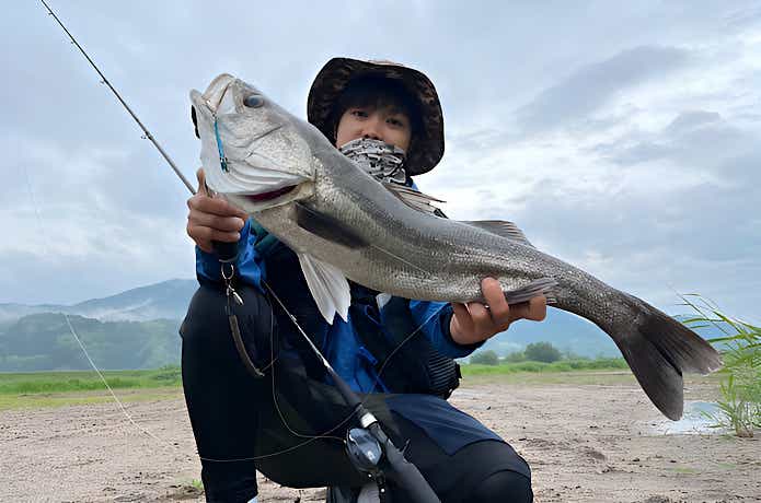 スティーズA TW HLCでシーバス釣り