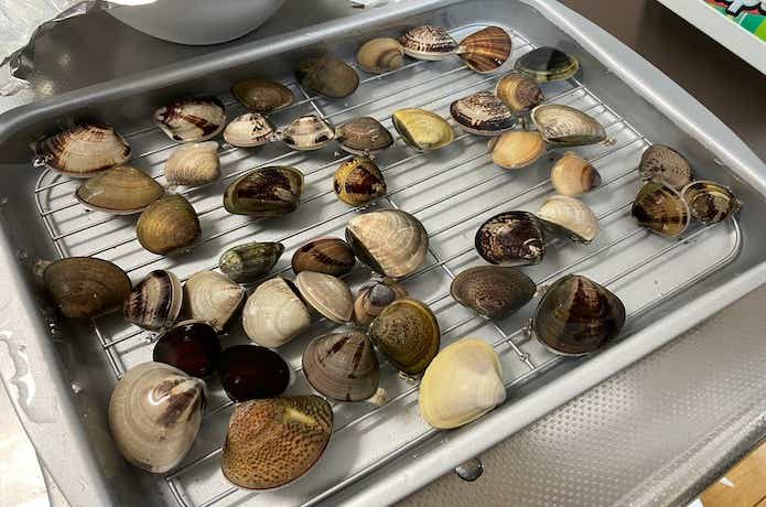 砂抜き