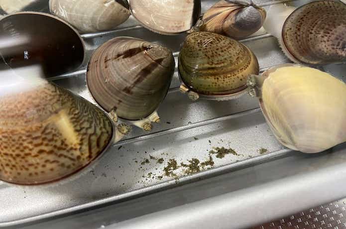 ハマグリが吐いた砂