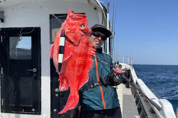 ホウズキの釣果
