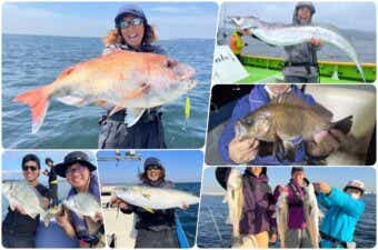 5月に釣れる東京湾の魚を特集｜あらゆる魚が活性UP！