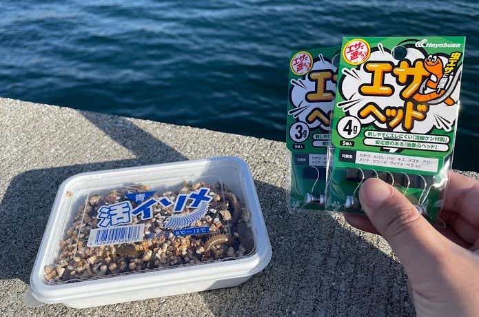 ハヤブサのエサヘッドとイソメ