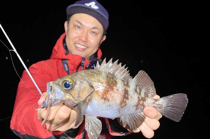 ハヤブサのエサヘッドで良型メバル