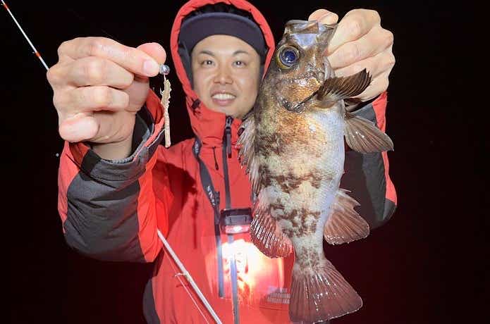 ハヤブサのエサヘッドでメバル