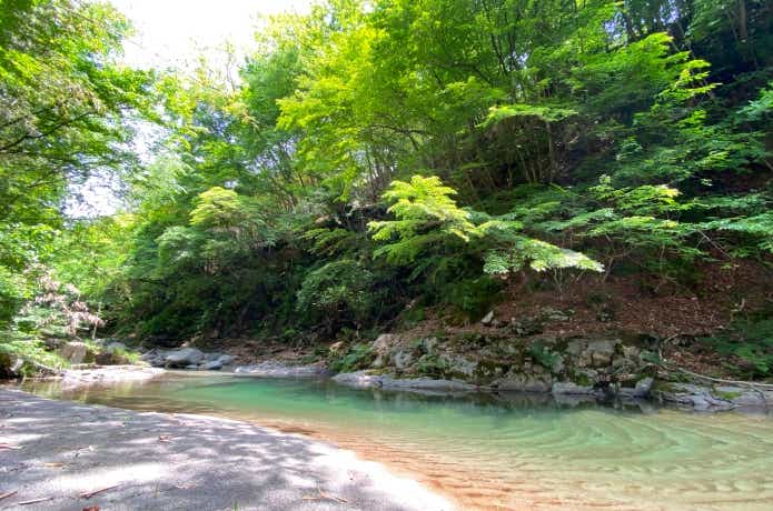 トロ場
