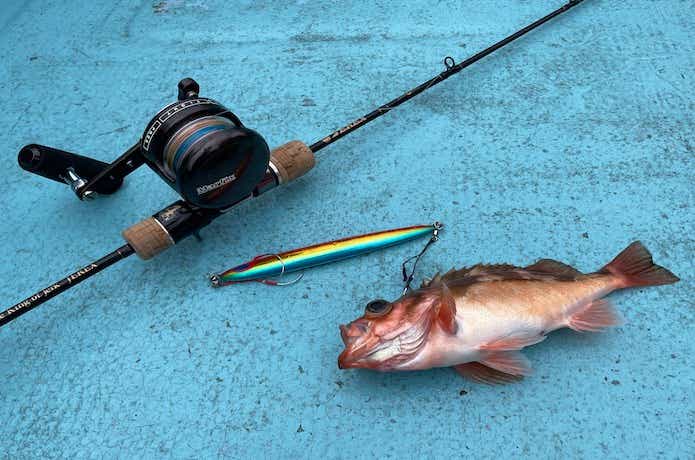 ジャレクで釣ったオキメバル