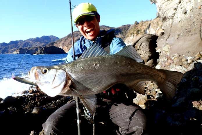 ヒラスズキの釣り
