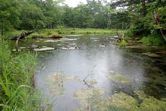 雨の釣り場