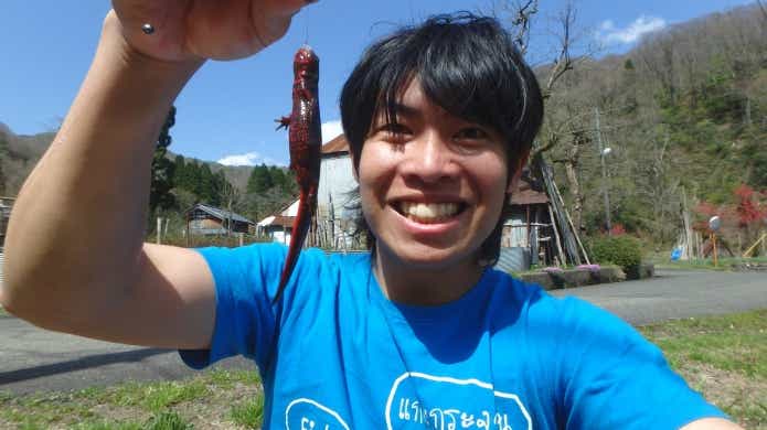 アカハライモリ