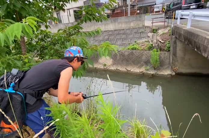 水路でナマズ釣り