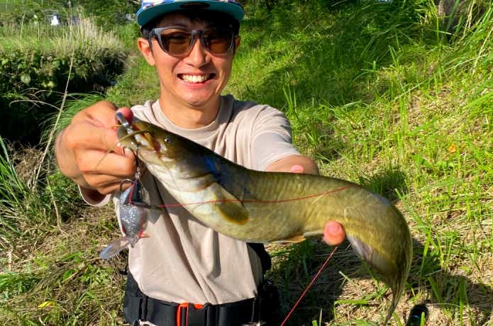 フロッグで釣ったナマズ