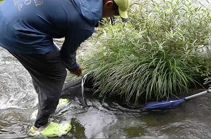 ガサガサのシーン