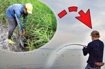 水辺の生き物をエサに堤防釣り