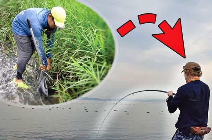 水辺の生き物をエサに堤防釣り