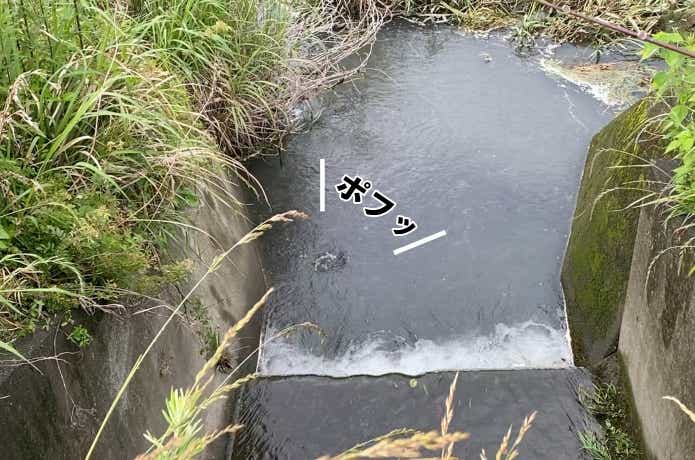 フロッグの着水