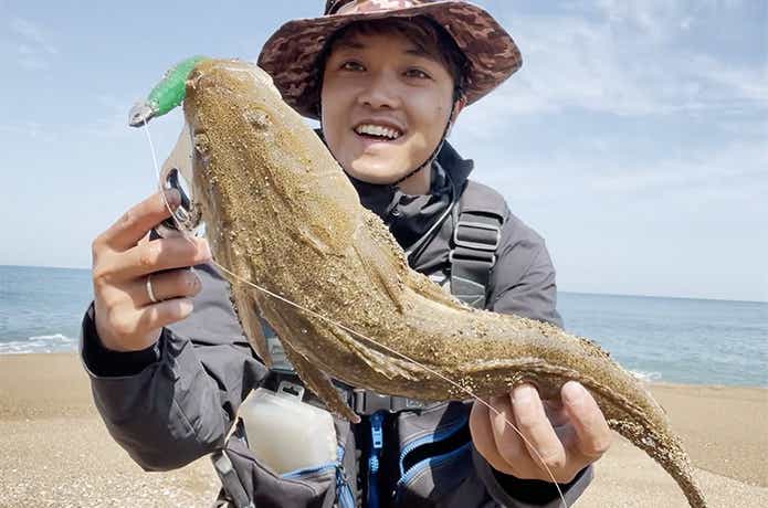 グライディーで釣れたマゴチ