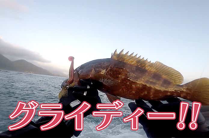 グライディーで釣れたキジハタ