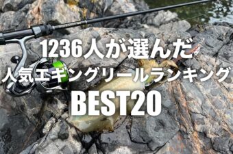 おすすめのエギングリールBEST20！1236人が選んだランキング