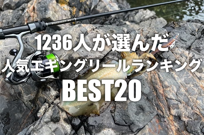 おすすめのエギングリールBEST20！1236人が選んだランキング
